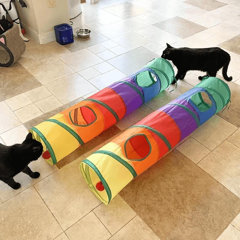 tunel para gatos,
tunel para gato brincar,
tunel interativo para gatos,
tunel de gato,
brinquedo gato tunel,