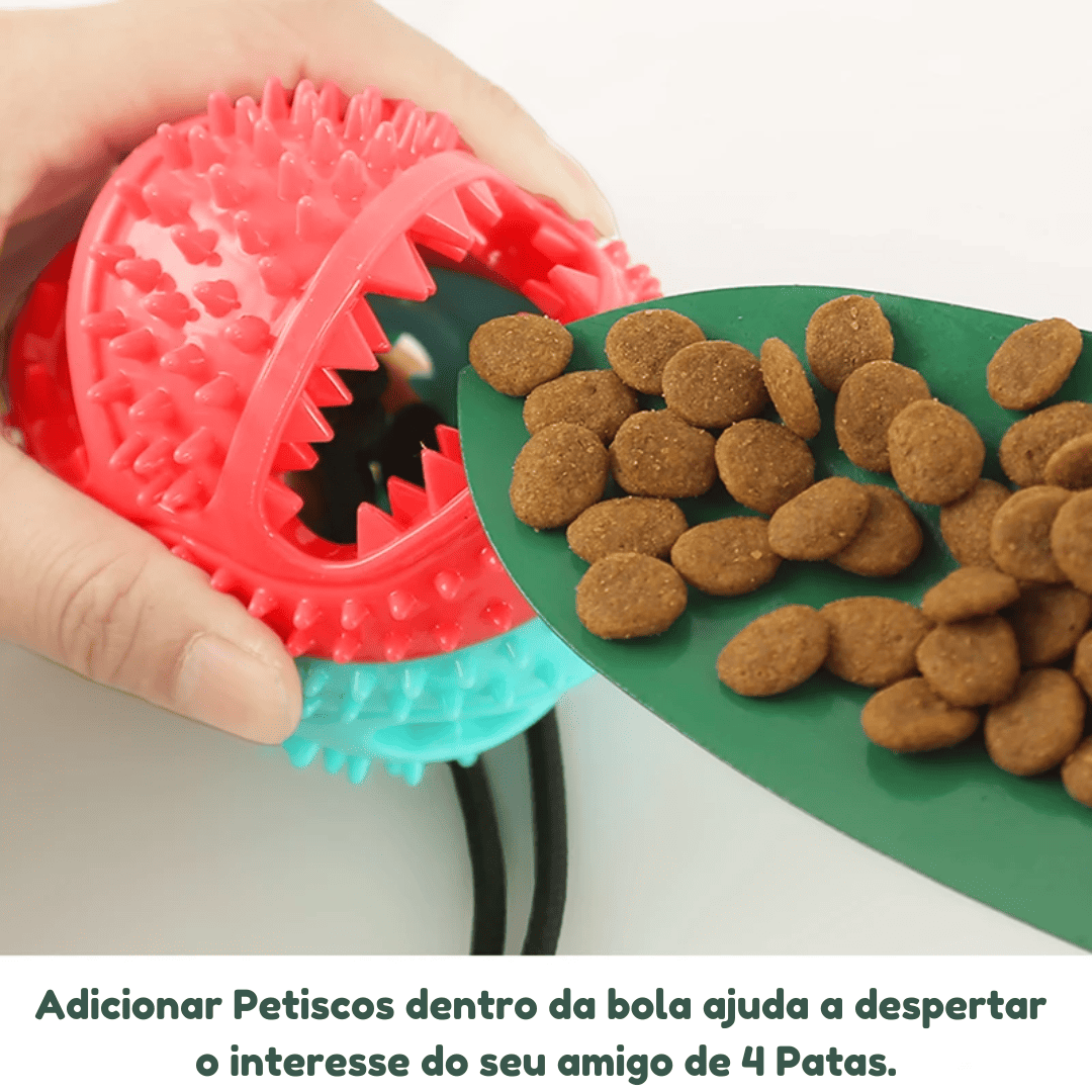 cabo de guerra para cachorro,
cabo de guerra com ventosa para cachorro,
cabo de guerra cachorro grande,
cabo de guerra cachorro,
brinquedos para pets,
brinquedo para caes cabo de guerra com ventosa,
brinquedo cabo de guerra cachorro,