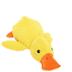 pato de pelúcia,
pato de pelúcia para cachorro,
Pato Resistente para Cães,
Pato de Pelúcia Durável,
Pelúcia Pato Antimordida,
Pato interativo pet,